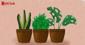 Ils. (Neira Salsabila/DETaK