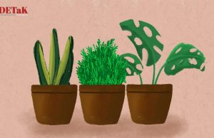 Ils. (Neira Salsabila/DETaK