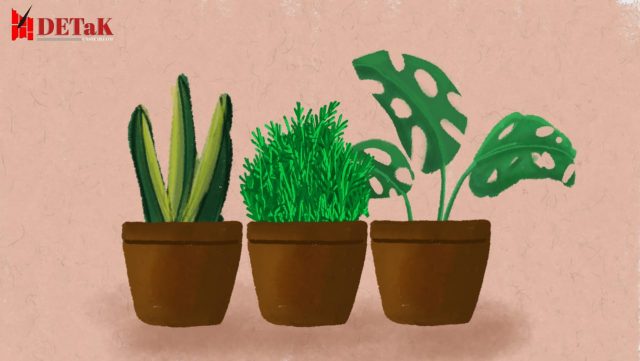 Ils. (Neira Salsabila/DETaK