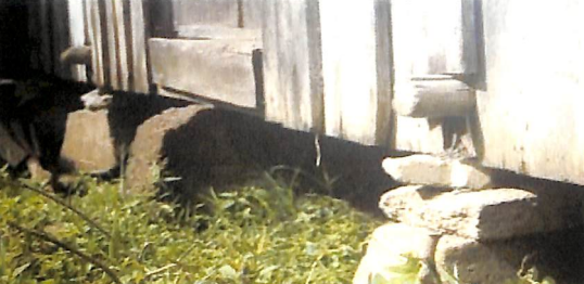 Bekas rumah pekerja kebun di perkebunan Belanda di Desa Weh Porak